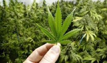 marijuana addiction treatment in Patna